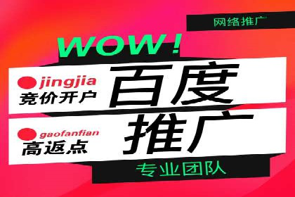 百度竞价包年推广案例：成功突破行业瓶颈